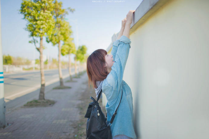 我们家的小小动物园作文